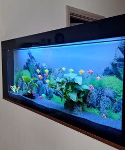 Profesionalna izrada akvarijuma