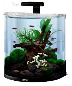 Tetra explorer polukrug